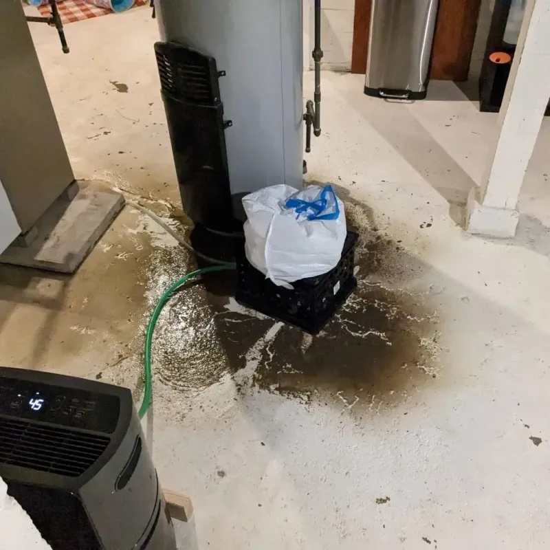 Sewage Backup Cleanup Service in Ripley, MS